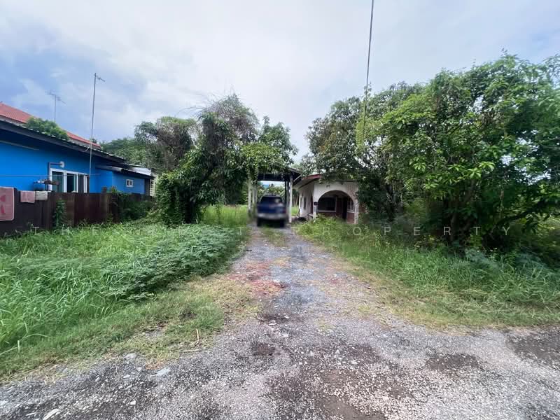 ที่ดินบางขุนเทียน กรุงเทพมหานคร, Bangkok, Samae Dam, Bang Khun Thian, Bangkok, , 1,684 sqm, Land For Sale, by The Best Property รัตน์, 500471545 - DDproperty.com