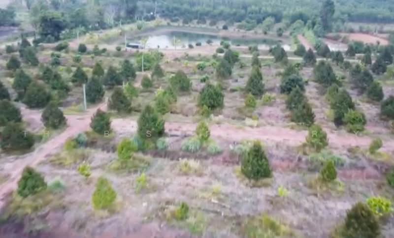 ที่ดินโพนสวรรค์ นครพนม, Nakhon Phanom, Na Kamin, Phon Sawan, Nakhon Phanom, , 66,702 sqm, Land For Sale, by The Best Property หนึ่ง, 500471577 - DDproperty.com
