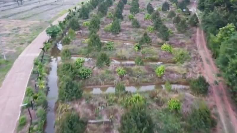 ที่ดินโพนสวรรค์ นครพนม, Nakhon Phanom, Na Kamin, Phon Sawan, Nakhon Phanom, , 66,702 sqm, Land For Sale, by The Best Property หนึ่ง, 500471577 - DDproperty.com