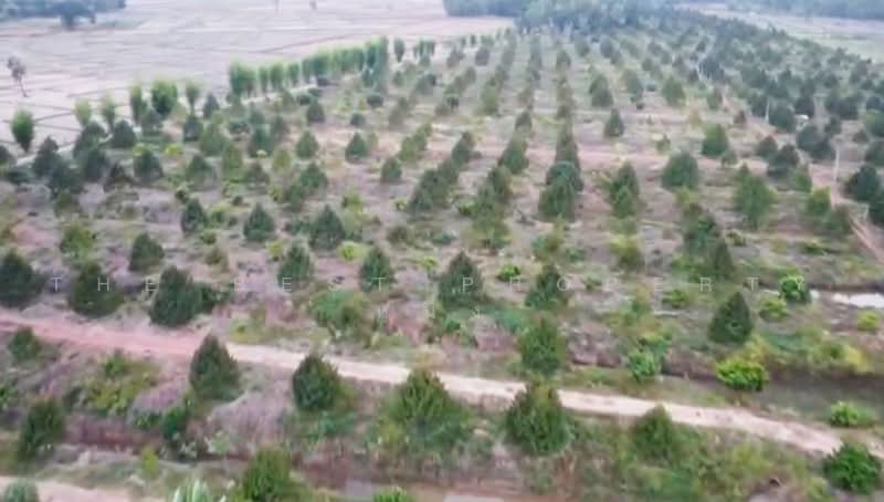 ที่ดินโพนสวรรค์ นครพนม, Nakhon Phanom, Na Kamin, Phon Sawan, Nakhon Phanom, , 66,702 sqm, Land For Sale, by The Best Property หนึ่ง, 500471577 - DDproperty.com