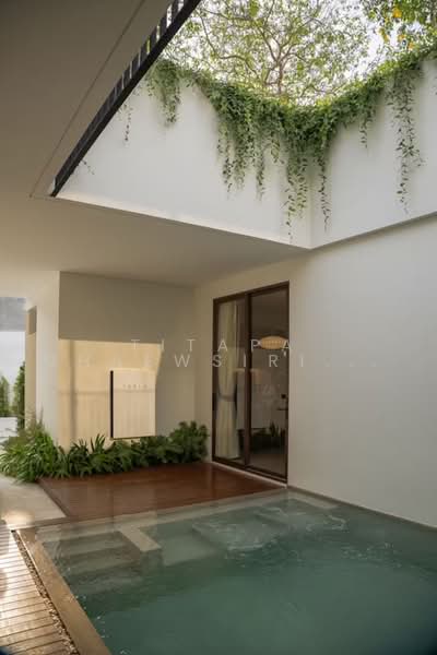 Villa Qabalah : วิลล่า คาบาล่า, ภูเก็ต, 8 Banya-Bangjo Road 58, ศรีสุนทร, ถลาง, ภูเก็ต, 573 ตร.ม., วิลล่า ให้เช่า, โดย Titapa Ghaewsirithara, 500471595 - DDproperty.com