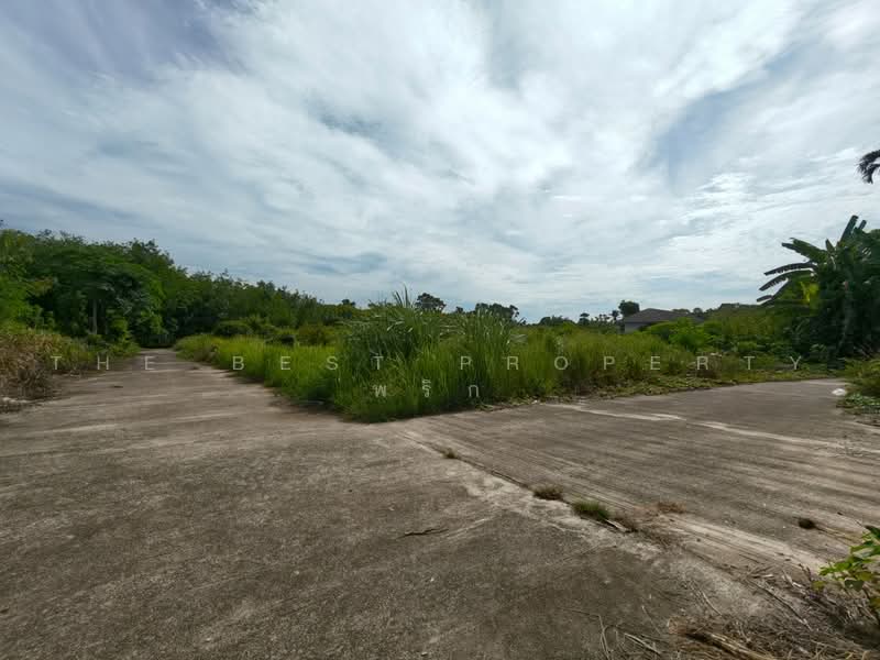 ที่ดินโพธิ์เสด็จ นครศรีธรรมราช, Nakhon Si Thammarat, Pho Sadet, Muang Nakhon Sri Thammarat, Nakhon Si Thammarat, , 181 sqm, Land For Sale, by The Best Property พริก, 500471603 - DDproperty.com