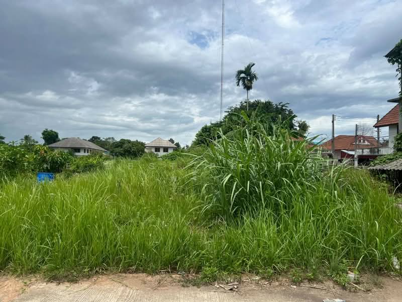 ที่ดินโพธิ์เสด็จ นครศรีธรรมราช, Nakhon Si Thammarat, Pho Sadet, Muang Nakhon Sri Thammarat, Nakhon Si Thammarat, , 181 sqm, Land For Sale, by The Best Property พริก, 500471603 - DDproperty.com