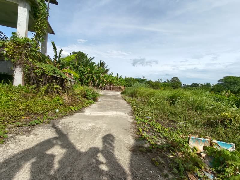 ที่ดินโพธิ์เสด็จ นครศรีธรรมราช, Nakhon Si Thammarat, Pho Sadet, Muang Nakhon Sri Thammarat, Nakhon Si Thammarat, , 181 sqm, Land For Sale, by The Best Property พริก, 500471603 - DDproperty.com