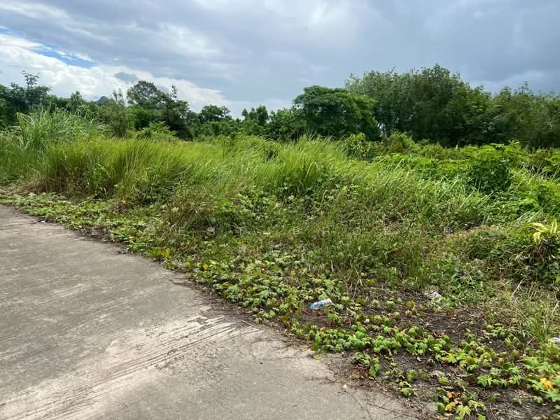 ที่ดินโพธิ์เสด็จ นครศรีธรรมราช, Nakhon Si Thammarat, Pho Sadet, Muang Nakhon Sri Thammarat, Nakhon Si Thammarat, , 181 sqm, Land For Sale, by The Best Property พริก, 500471603 - DDproperty.com