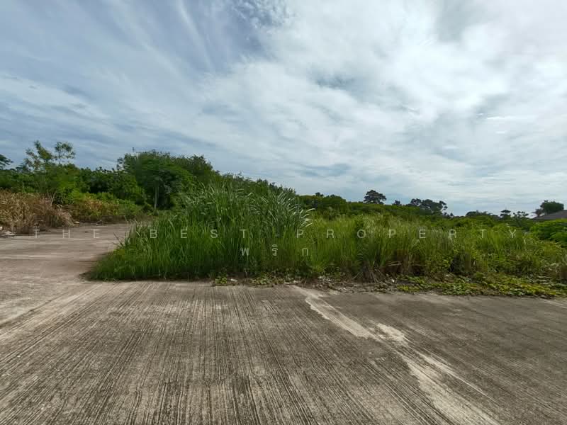 ที่ดินโพธิ์เสด็จ นครศรีธรรมราช, Nakhon Si Thammarat, Pho Sadet, Muang Nakhon Sri Thammarat, Nakhon Si Thammarat, , 181 sqm, Land For Sale, by The Best Property พริก, 500471603 - DDproperty.com