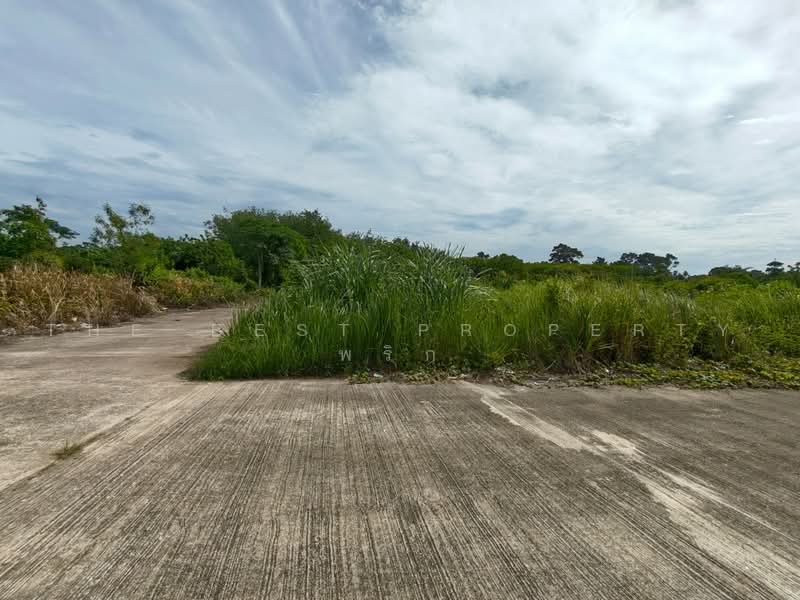 ที่ดินโพธิ์เสด็จ นครศรีธรรมราช, Nakhon Si Thammarat, Pho Sadet, Muang Nakhon Sri Thammarat, Nakhon Si Thammarat, , 181 sqm, Land For Sale, by The Best Property พริก, 500471603 - DDproperty.com