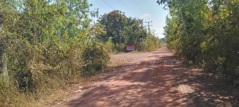 ที่ดินโพธิ์ชัย หนองคาย, Nong Khai, Pho-Chai, Muang Nong Khai, Nong Khai, , 29,328 sqm, Land For Sale, by The Best Property โชค, 500471611 - DDproperty.com