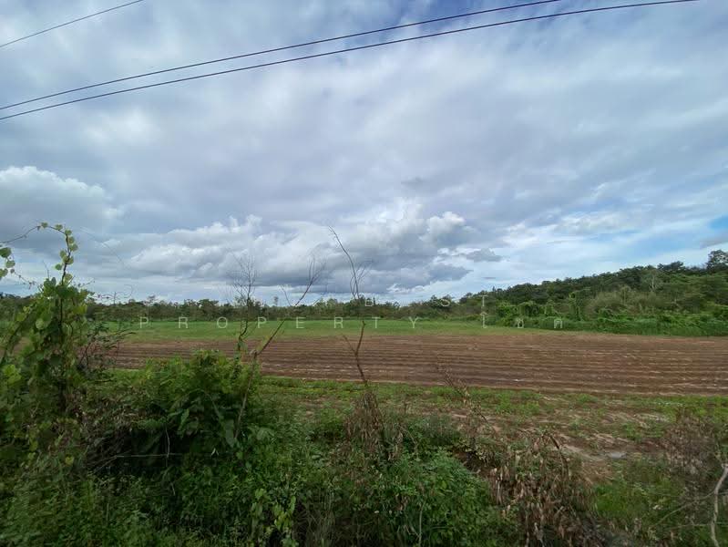 ที่ดินโพธิ์ชัย หนองคาย, nong-khai, Pho-Chai, Muang Nong Khai, Nong Khai, , 29,328 sqm, Land For Sale, by The Best Property โชค, 500471611 - DDproperty.com