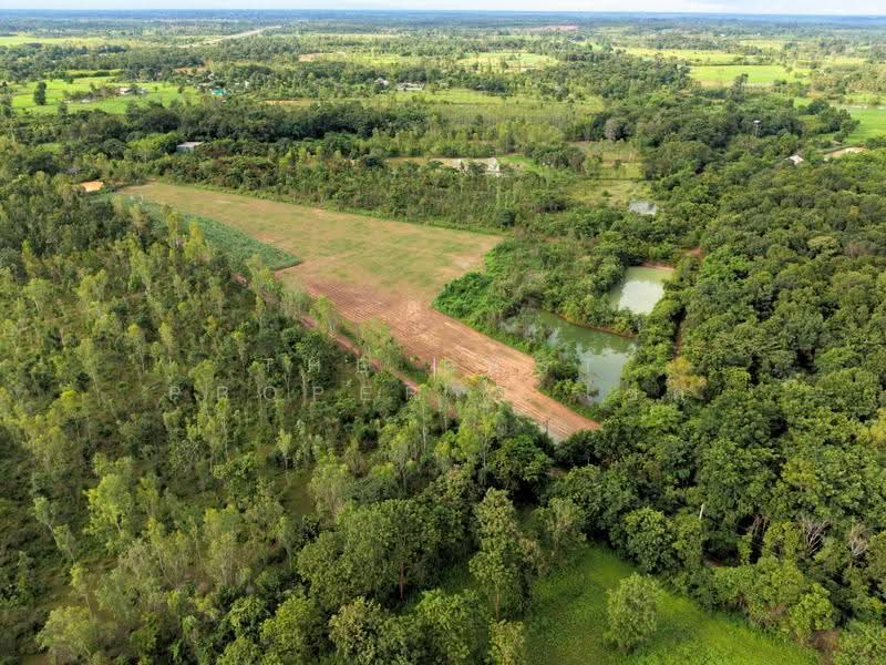 ที่ดินโพธิ์ชัย หนองคาย, nong-khai, Pho-Chai, Muang Nong Khai, Nong Khai, , 29,328 sqm, Land For Sale, by The Best Property โชค, 500471611 - DDproperty.com
