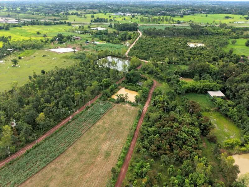 ที่ดินโพธิ์ชัย หนองคาย, nong-khai, Pho-Chai, Muang Nong Khai, Nong Khai, , 29,328 sqm, Land For Sale, by The Best Property โชค, 500471611 - DDproperty.com