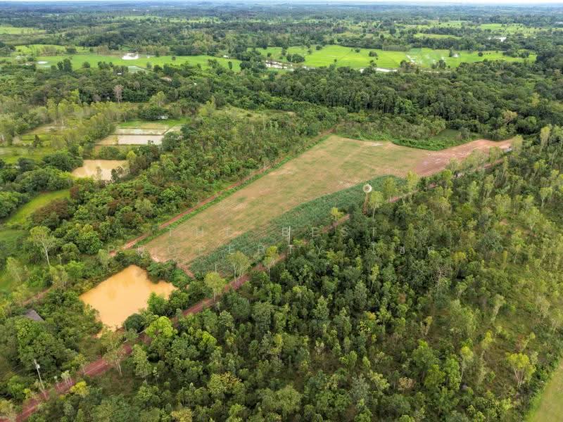 ที่ดินโพธิ์ชัย หนองคาย, nong-khai, Pho-Chai, Muang Nong Khai, Nong Khai, , 29,328 sqm, Land For Sale, by The Best Property โชค, 500471611 - DDproperty.com