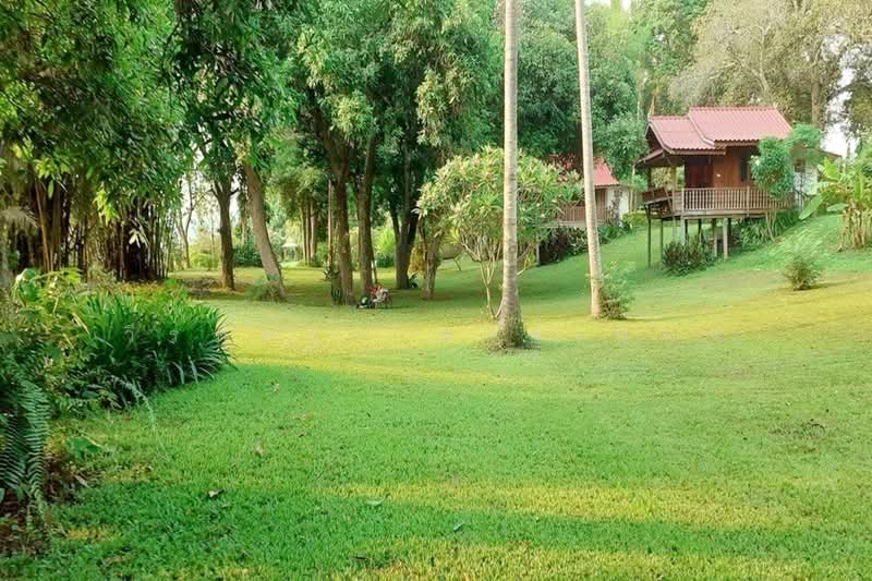 ขายที่ดิน 10 ไร่ ริมโขง เชียงคาน เลย, เลย, บุฮม, เชียงคาน, เลย, 16,044 ตร.ม., ที่ดิน ขาย, โดย วีรภัทรา ดาร์เปอร์, 500471621 - DDproperty.com