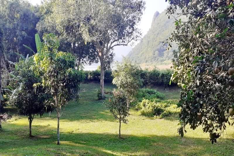 10 Rai Chiang Khan Riverfront Land for Sale, Loei, Bu Hom, Chiang Khan, Loei, , 16,044 sqm, Land For Sale, by วีรภัทรา ดาร์เปอร์, 500471621 - DDproperty.com