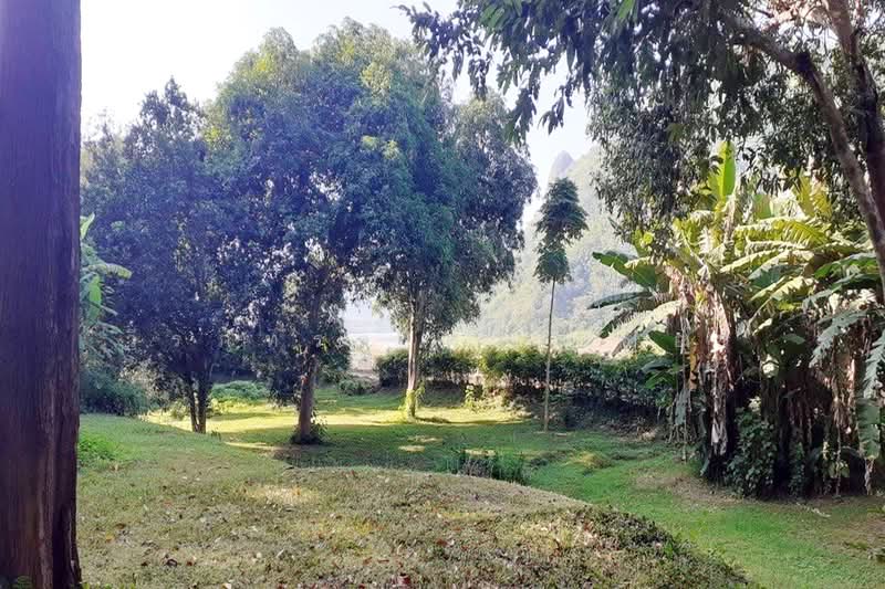 10 Rai Chiang Khan Riverfront Land for Sale, Loei, Bu Hom, Chiang Khan, Loei, , 16,044 sqm, Land For Sale, by วีรภัทรา ดาร์เปอร์, 500471621 - DDproperty.com
