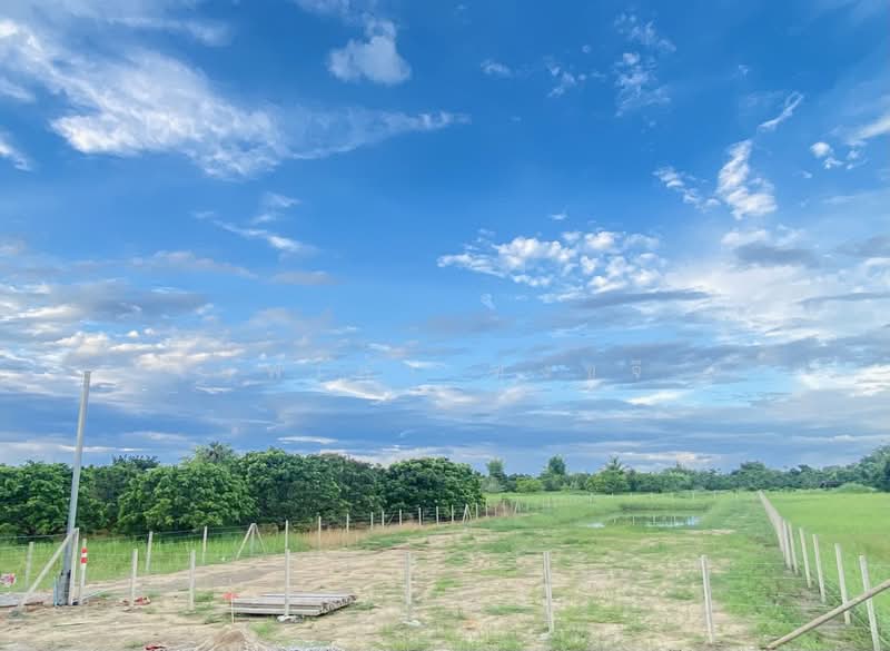 Land for sale at a great price: 400 sq. wah (views of the pond and Doi Suthep), Chiang Mai, , Ban Klang, San Pa Tong, Chiang Mai, , 1,600 sqm, Land For Sale, by นพเก้า ทุ่งขจี, 500471625 - DDproperty.com