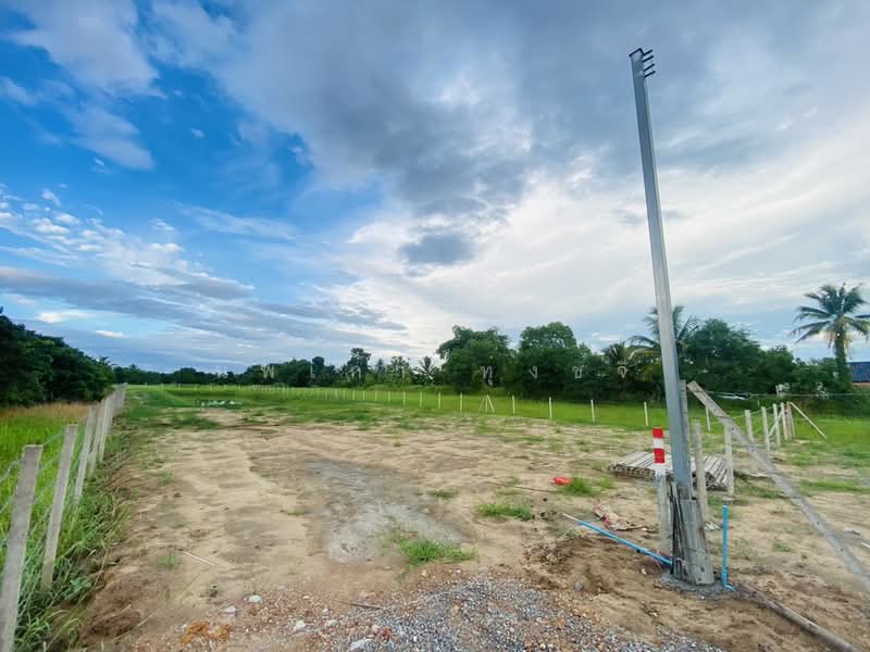 Land for sale at a great price: 400 sq. wah (views of the pond and Doi Suthep), Chiang Mai, , Ban Klang, San Pa Tong, Chiang Mai, , 1,600 sqm, Land For Sale, by นพเก้า ทุ่งขจี, 500471625 - DDproperty.com
