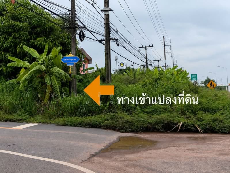 ถนนกบินทร์บุรี – ปักธงชัย, Prachin Buri, Nong Ki, Kabin Buri, Prachin Buri, , 3,096 sqm, Land For Sale, by ภัทรนัน อิศรางกูร ณ อยุธยา, 500471630 - DDproperty.com