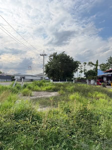 ให้เช่าที่ดินและบ้านเดี่ยว มีนบุรี-หนองจอก เริ่มต้น 400 ตร.ว. ติดถนนประชาร่วมใจ เลือกแบ่งเช่าได้ 3, กรุงเทพ, ทรายกองดินใต้, คลองสามวา, กรุงเทพ, 1,600 ตร.ม., ที่ดิน ให้เช่า, โดย คุณเกด, 500471638 - DDproperty.com