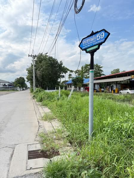 ให้เช่าที่ดิน มีนบุรี-หนองจอก เริ่มต้น 800 ตรว. ( 2 ไร่ ) ติดถนนใหญ่ประชาร่วมใจ แปลงมุม ติดถนน, กรุงเทพ, ทรายกองดินใต้, คลองสามวา, กรุงเทพ, 3,200 ตร.ม., ที่ดิน ให้เช่า, โดย คุณเกด, 500471765 - DDproperty.com