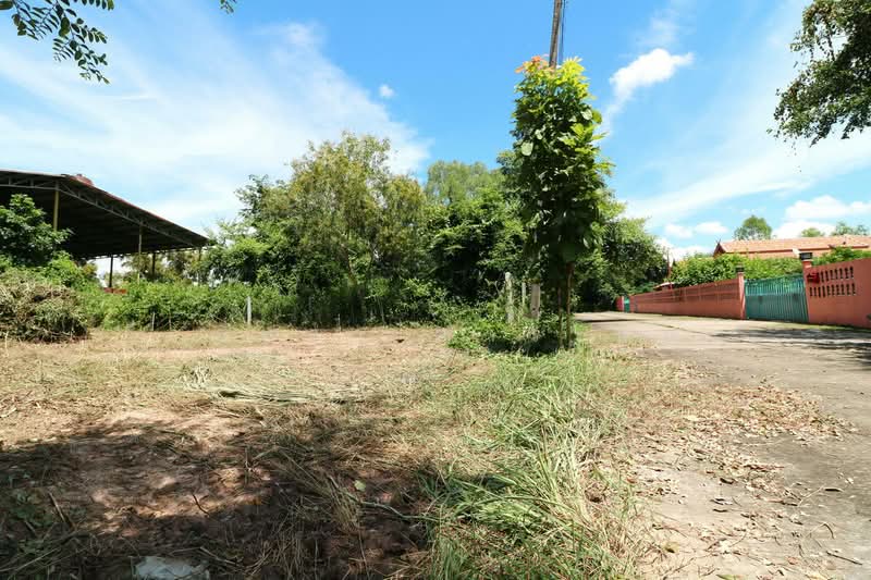 ขายที่ดินเปล่า 386.4 ตร.ม. โนนสูง อุดรธานี, อุดรธานี, โนนสูง, เมืองอุดรธานี, อุดรธานี, 384 ตร.ม., ที่ดิน ขาย, โดย วีรภัทรา ดาร์เปอร์, 500471834 - DDproperty.com