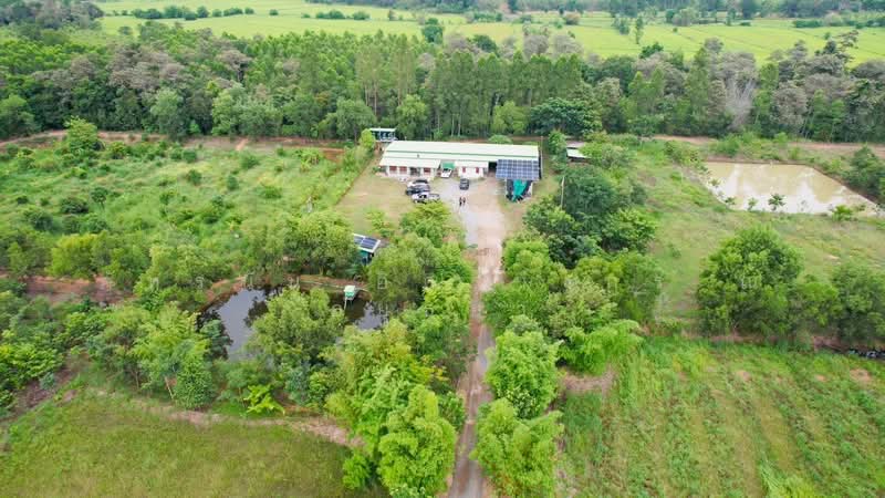 โครงการ รักแผ่นดินเกิด สำพันตา นาดี, Prachin Buri, Lam Phan Ta, Na Di, Prachin Buri, , 48,648 sqm, Land For Sale, by ภัทรนัน อิศรางกูร ณ อยุธยา, 500471863 - DDproperty.com