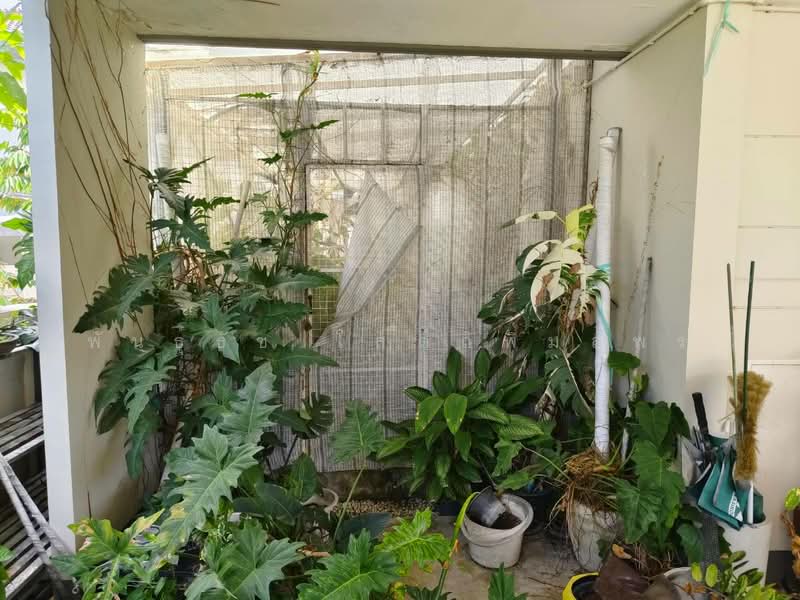 Kanasiri Salaya, Nonthaburi, Samret Phatthana Road, Sala Klang, Bang Kruai, Nonthaburi, 3 Bedrooms, 125 sqm, Single Detached House For Sale, by PhanThach Sotthipimonporn, 500471879 - DDproperty.com