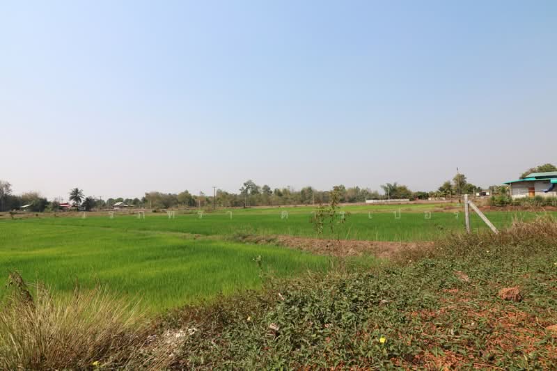 3 BRM 2 BTH Home For Sale with 3+ Rai, Tha Bo, Nong Khai, Tha Bo, Nong Khai, 3 Bedrooms, 103 sqm, Single Detached House For Sale, by วีรภัทรา ดาร์เปอร์, 500471906 - DDproperty.com