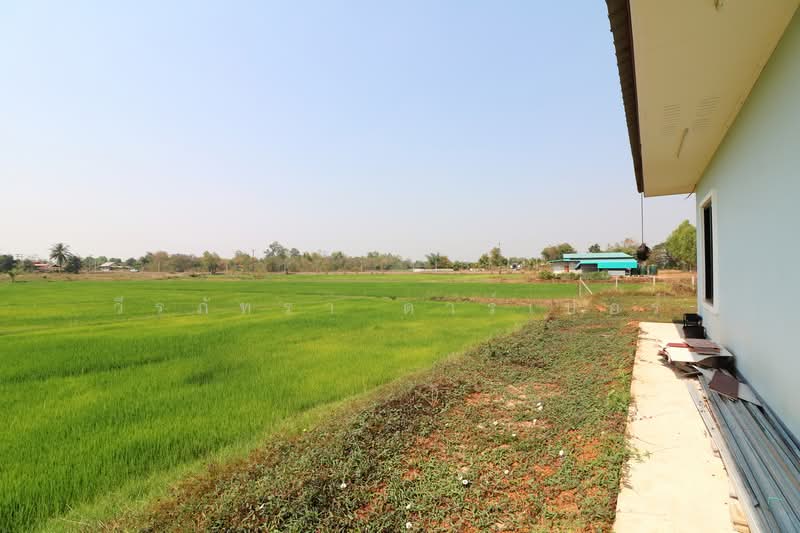 3 BRM 2 BTH Home For Sale with 3+ Rai, Tha Bo, Nong Khai, Tha Bo, Nong Khai, 3 Bedrooms, 103 sqm, Single Detached House For Sale, by วีรภัทรา ดาร์เปอร์, 500471906 - DDproperty.com