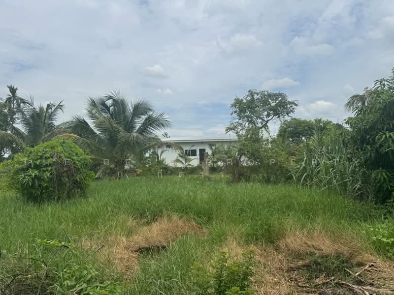 บ้านเดี่ยวบางแก้ว ฉะเชิงเทรา, Chachoengsao, Bang Kaeo, Muang Chachoengsao, Chachoengsao, 2 Bedrooms, 150 sqm, Single Detached House For Sale, by The Best Property กีต้าร์, 500471981 - DDproperty.com