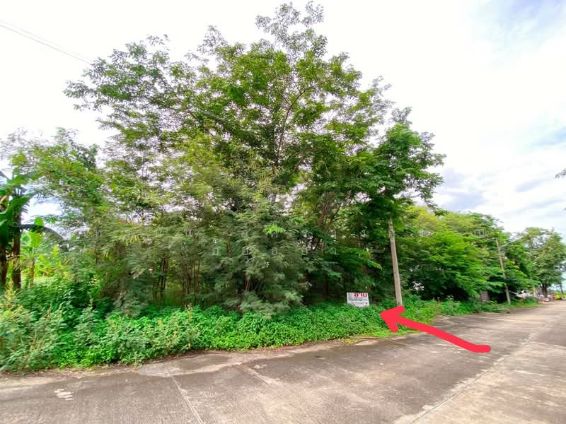 โครงการหมู่บ้านสวนพัฒนา 3, ปทุมธานี, บึงบา, หนองเสือ, ปทุมธานี, 500 ตร.ม., ที่ดิน ขาย, โดย ภัทรนัน อิศรางกูร ณ อยุธยา, 500472007 - DDproperty.com