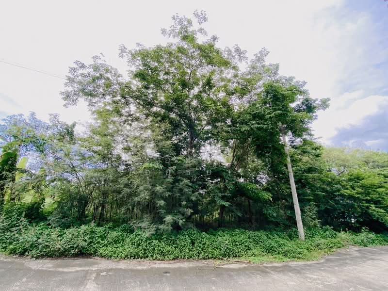 โครงการหมู่บ้านสวนพัฒนา 3, Pathum Thani, Bung Ba, Nong Sua, Pathum Thani, , 500 sqm, Land For Sale, by ภัทรนัน อิศรางกูร ณ อยุธยา, 500472007 - DDproperty.com