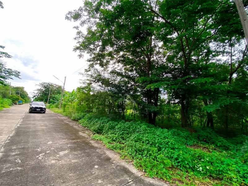 โครงการหมู่บ้านสวนพัฒนา 3, Pathum Thani, Bung Ba, Nong Sua, Pathum Thani, , 500 sqm, Land For Sale, by ภัทรนัน อิศรางกูร ณ อยุธยา, 500472007 - DDproperty.com