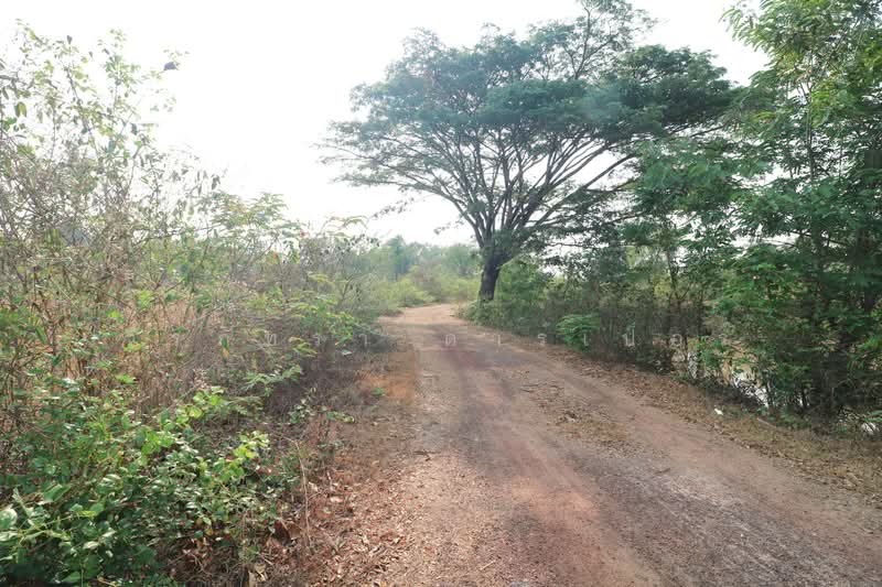 636 Sq. Mts Riverside Land For Sale – Nong Na Kham, Udon Thani, Nong Na Kham, Muang Udon Thani, Udon Thani, , 636 sqm, Land For Sale, by วีรภัทรา ดาร์เปอร์, 500472008 - DDproperty.com