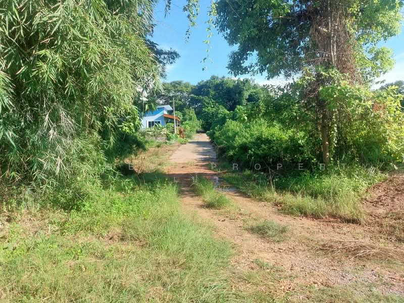 ที่ดินโพนพิสัย หนองคาย, หนองคาย, จุมพล, โพนพิสัย, หนองคาย, 791 ตร.ม., ที่ดิน ขาย, โดย The Best Property เป้า, 500472044 - DDproperty.com