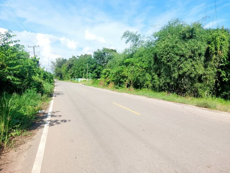 ที่ดินโพนพิสัย หนองคาย, Nong Khai, Chum Phon, Phon Phisai, Nong Khai, , 791 sqm, Land For Sale, by The Best Property เป้า, 500472044 - DDproperty.com