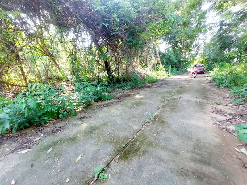 ที่ดินโพนพิสัย หนองคาย, Nong Khai, Chum Phon, Phon Phisai, Nong Khai, , 791 sqm, Land For Sale, by The Best Property เป้า, 500472044 - DDproperty.com