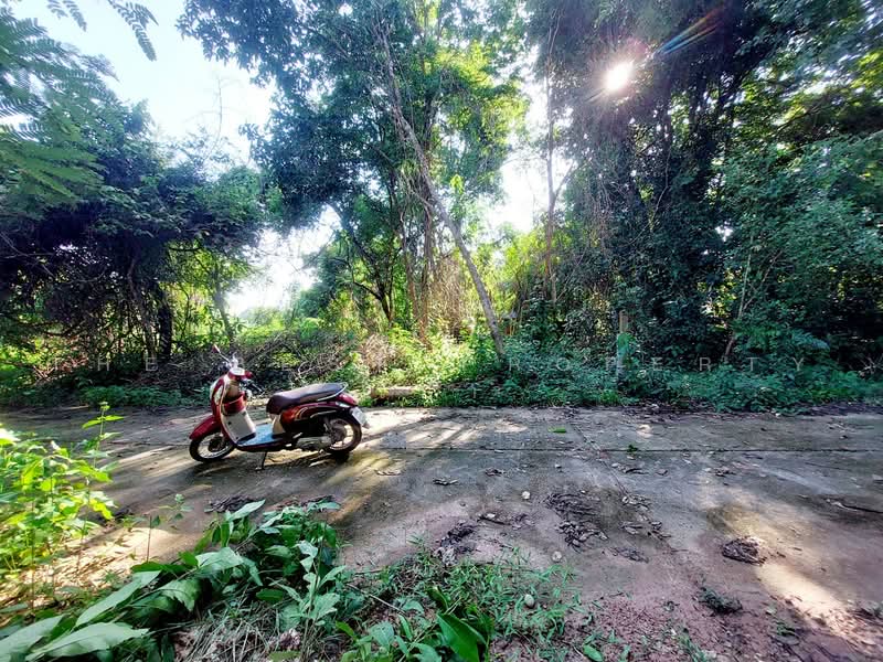 ที่ดินโพนพิสัย หนองคาย, หนองคาย, จุมพล, โพนพิสัย, หนองคาย, 791 ตร.ม., ที่ดิน ขาย, โดย The Best Property เป้า, 500472044 - DDproperty.com
