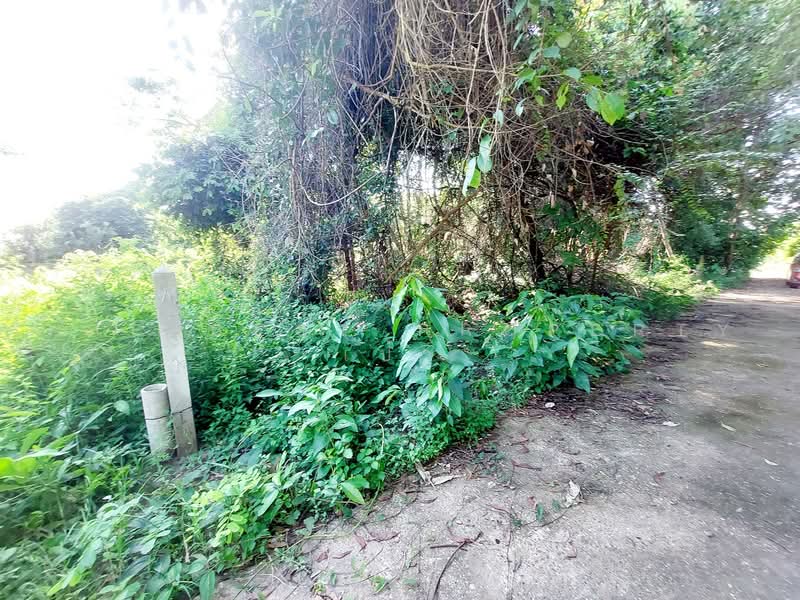 ที่ดินโพนพิสัย หนองคาย, Nong Khai, Chum Phon, Phon Phisai, Nong Khai, , 791 sqm, Land For Sale, by The Best Property เป้า, 500472044 - DDproperty.com