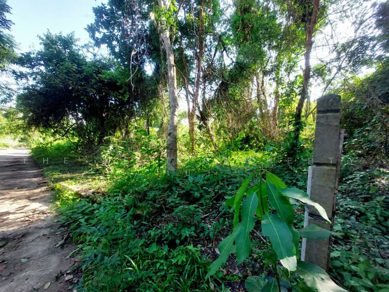 ที่ดินโพนพิสัย หนองคาย, Nong Khai, Chum Phon, Phon Phisai, Nong Khai, , 791 sqm, Land For Sale, by The Best Property เป้า, 500472044 - DDproperty.com