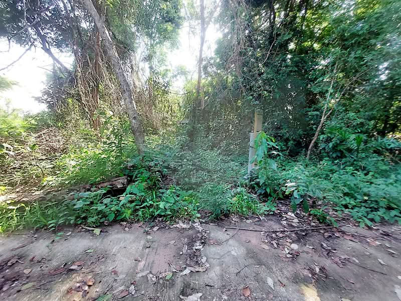ที่ดินโพนพิสัย หนองคาย, Nong Khai, Chum Phon, Phon Phisai, Nong Khai, , 791 sqm, Land For Sale, by The Best Property เป้า, 500472044 - DDproperty.com