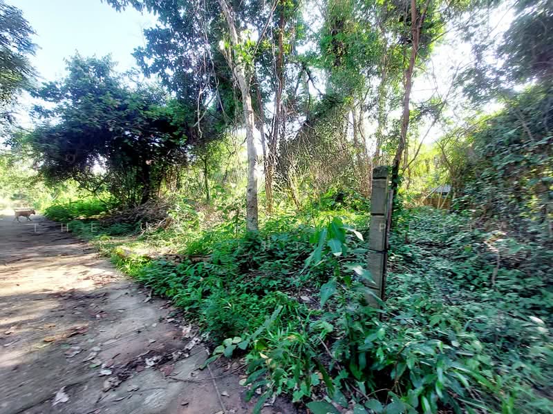 ที่ดินโพนพิสัย หนองคาย, Nong Khai, Chum Phon, Phon Phisai, Nong Khai, , 791 sqm, Land For Sale, by The Best Property เป้า, 500472044 - DDproperty.com