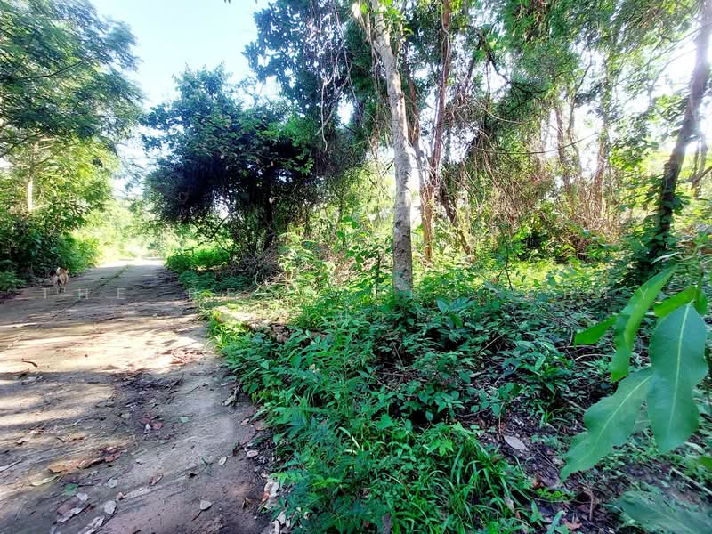 ที่ดินโพนพิสัย หนองคาย, Nong Khai, Chum Phon, Phon Phisai, Nong Khai, , 791 sqm, Land For Sale, by The Best Property เป้า, 500472044 - DDproperty.com