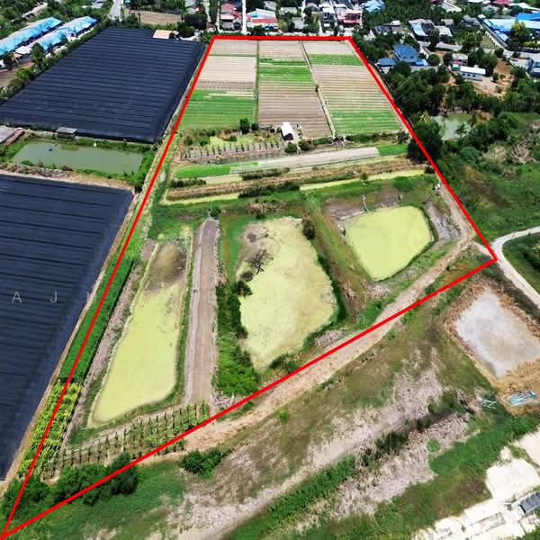 ที่ดินเปล่า25-0-05ไร่ ติดถนน นฐ.1023 สามควายเผือก ผังสีเขียว, Nakhon Pathom, Sam Khwai Phuak, Muang Nakhon Pathom, Nakhon Pathom, , 40,020 sqm, Land For Sale, by AJHOMECENTER - คุณแบงค์, 500472054 - DDproperty.com
