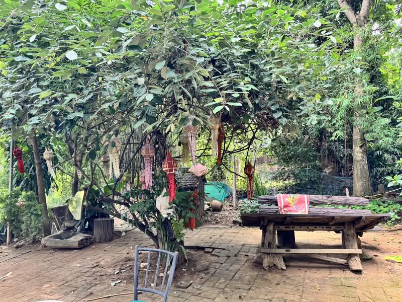 Huensutree, Chiang Mai, Pa Tun, Muang Chiang Mai, Chiang Mai, , 2,212 sqm, Land For Sale, by Sakan Akkara-aektalin, 500472072 - DDproperty.com