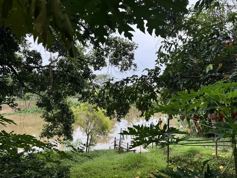Huensutree, Chiang Mai, Pa Tun, Muang Chiang Mai, Chiang Mai, , 2,212 sqm, Land For Sale, by Sakan Akkara-aektalin, 500472072 - DDproperty.com
