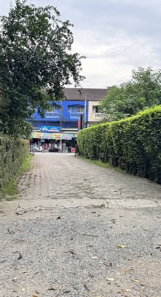 Huensutree, Chiang Mai, Pa Tun, Muang Chiang Mai, Chiang Mai, , 2,212 sqm, Land For Sale, by Sakan Akkara-aektalin, 500472072 - DDproperty.com