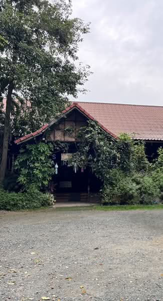 Huensutree, Chiang Mai, Pa Tun, Muang Chiang Mai, Chiang Mai, , 2,212 sqm, Land For Sale, by Sakan Akkara-aektalin, 500472072 - DDproperty.com