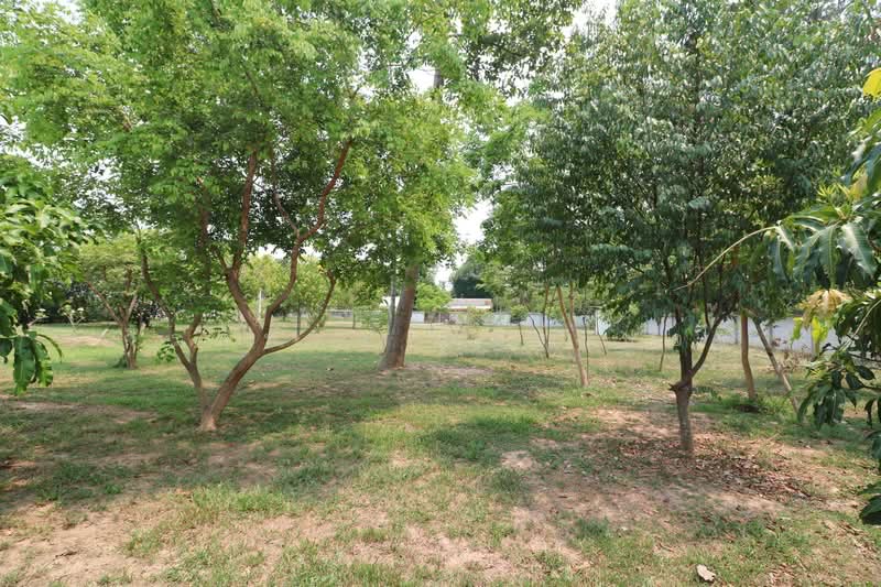 2 Rai Land with 2 Brm 1 Bth Home for Sale in Ban Chan Udon Thani, Udon Thani, Ban Chun, Muang Udon Thani, Udon Thani, , 3,300 sqm, Land For Sale, by วีรภัทรา ดาร์เปอร์, 500472081 - DDproperty.com