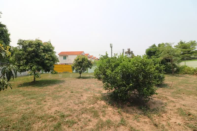 2 Rai Land with 2 Brm 1 Bth Home for Sale in Ban Chan Udon Thani, Udon Thani, Ban Chun, Muang Udon Thani, Udon Thani, , 3,300 sqm, Land For Sale, by วีรภัทรา ดาร์เปอร์, 500472081 - DDproperty.com